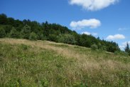 Brenna 2,53ha z prawem zabudowy blisko wyciągu