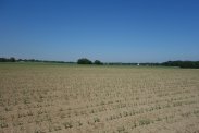 działka 1,15ha pod zabudowe i teren usług i hand
