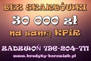 KREDYT DLA FIRM – 30 000 ZŁ NA SAMĄ KPiR