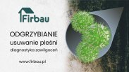 ODGRZYBIANIE BUDYNKÓW USUWANIE PLEŚNI Z ŚCIAN
