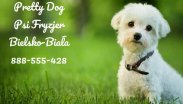 Fryzjer Dla Psów Pretty Dog Bielsko