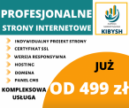 Profesjonalne strony internetowe już od 499 zł.