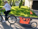 przyczepka rowerowa
