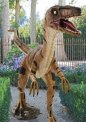 dinozaur Velociraptor