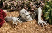 zombie w ogrodzie