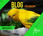 Witaj w Świecie Zwierząt na Naszym Blogu!