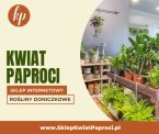 Sklep z Kwiatami i roślinami doniczkowymi Online