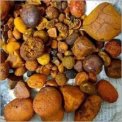 Cow /Ox Gallstones for supply
