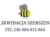 likwidacja gniazd os i szerszeni