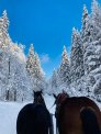 Kuligi Zimowe + Ostatki 18.02 - Wisła