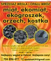 Węiel Orzech -PROMOCJA!!!Ekogroszek Ekomiał