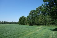 Skoczów Ochaby 57ar pod lasem nadaje sie pod rekr