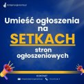 Wystawianie ogłoszeń, ofert na portalach branżo