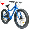 Rowery IwoBike - Polska Marka - Rowery