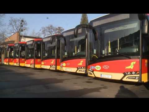 nowe autobusy dla Bielska-Białej