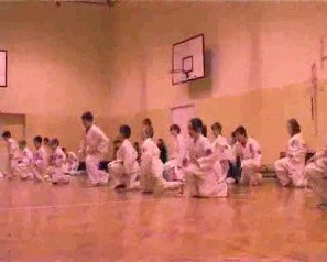 Seido karate