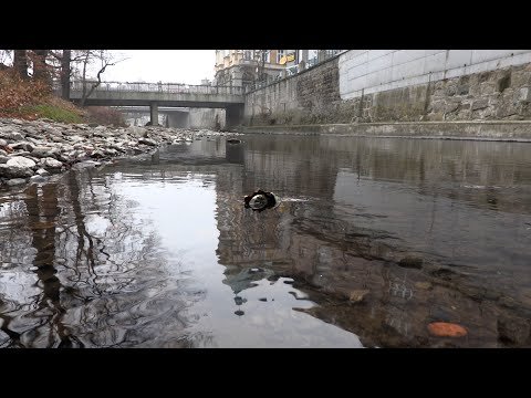 Pomysły na rzekę w Bielsku-Białej