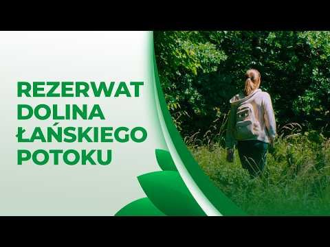 Rezerwat Dolina Łańskiego Potoku. Jak działa mimo gatunków inwazyjnych, klimatu i... człowieka?