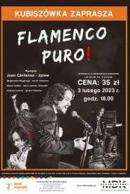 Flamenco puro!