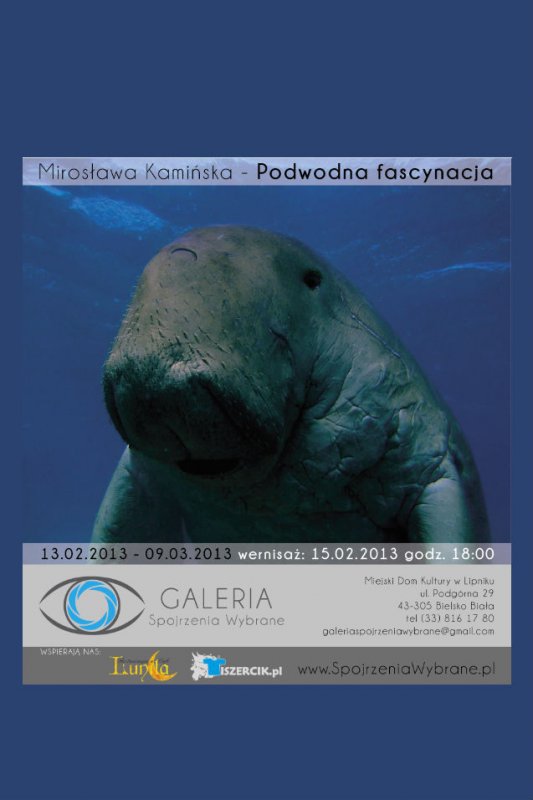 Wystawa - Podwodna fascynacja