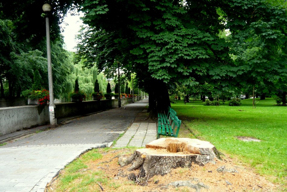 Nasza interwencja: te też umierały