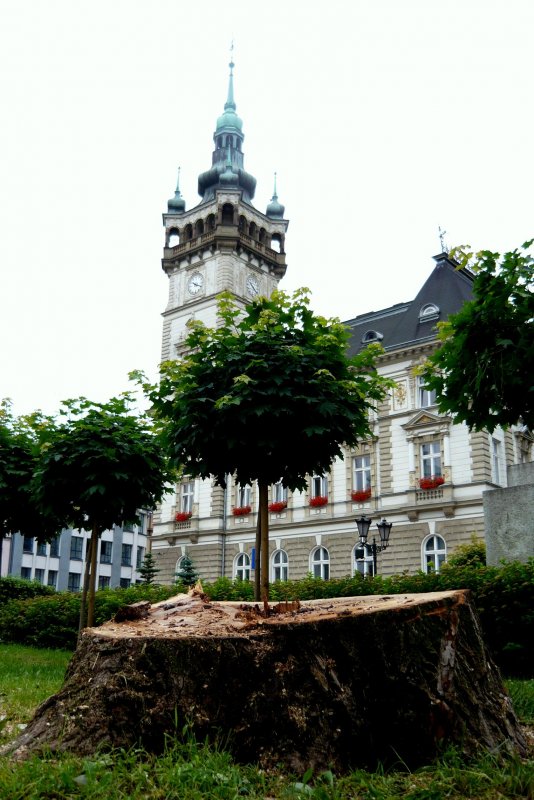 Nasza interwencja: te też umierały
