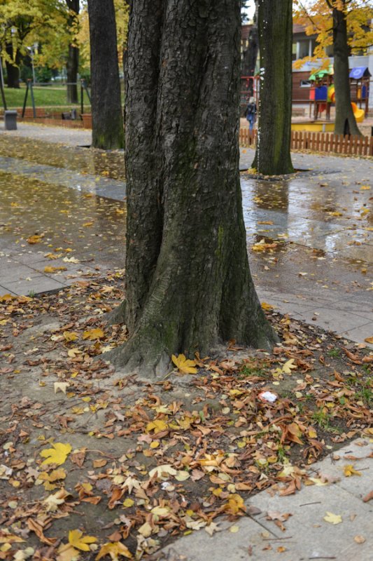 Upiększają po fachowcach