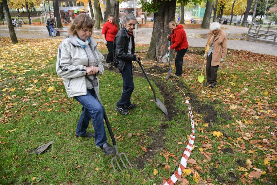 Upiększają po fachowcach