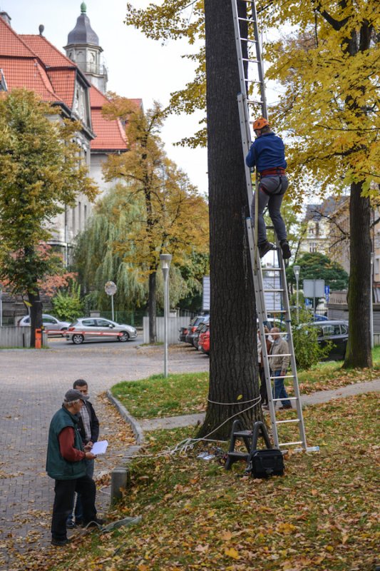 Upiększają po fachowcach