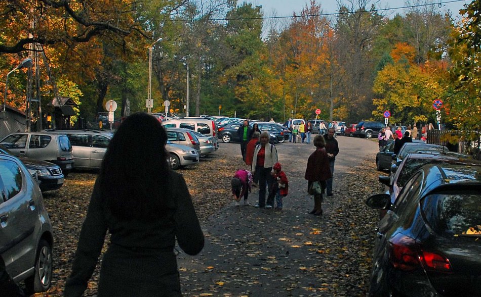 Niedziela ze złotą bielską jesienią - galeria