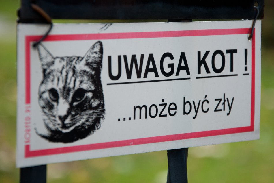 Las pełen artystów