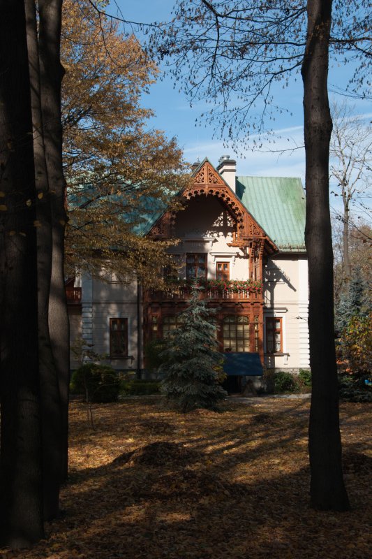 Las pełen artystów
