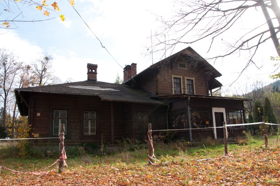 Las pełen artystów