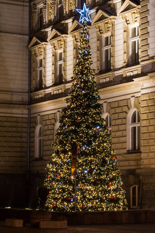 W świątecznym labiryncie