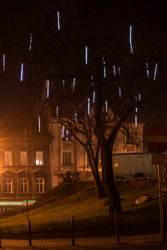 W świątecznym labiryncie