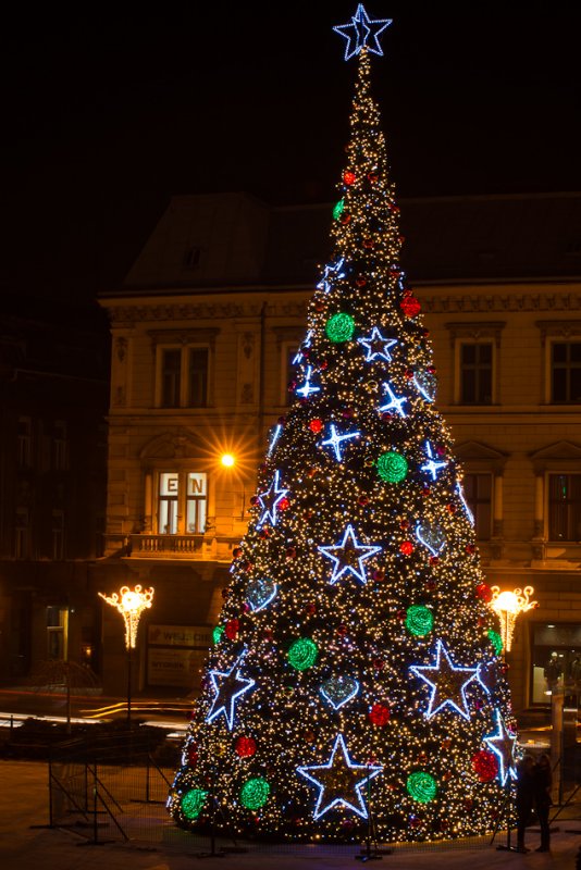 W świątecznym labiryncie