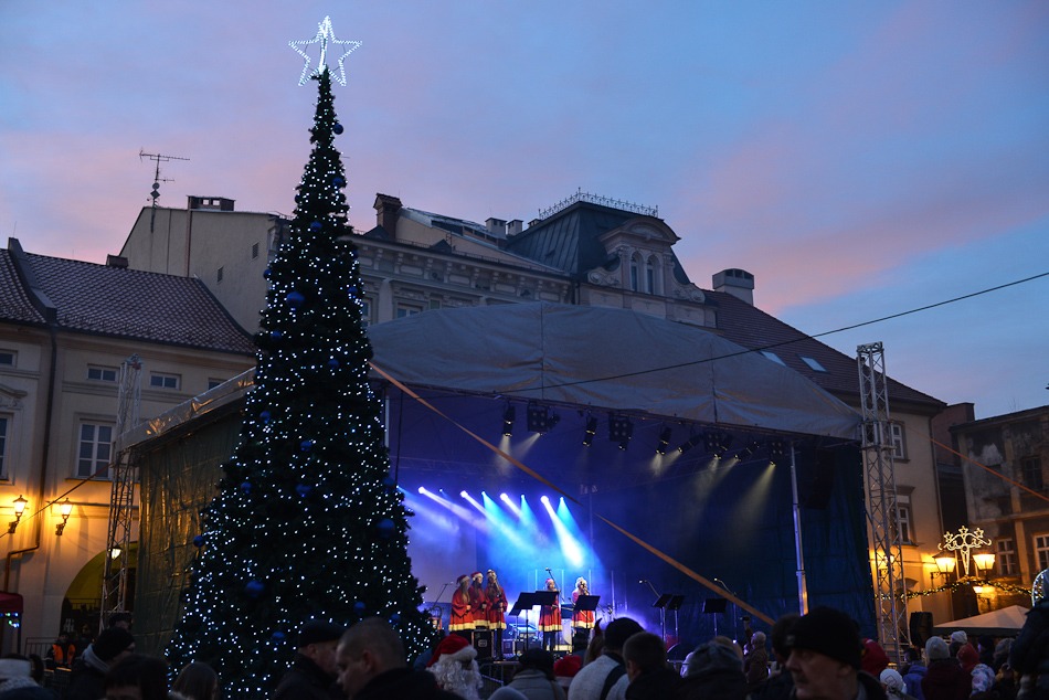 Tylko konia żal