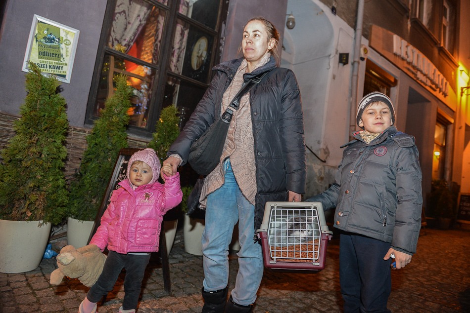 Tylko konia żal