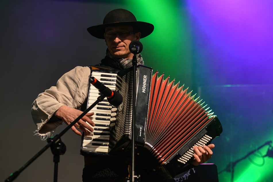 Tylko konia żal
