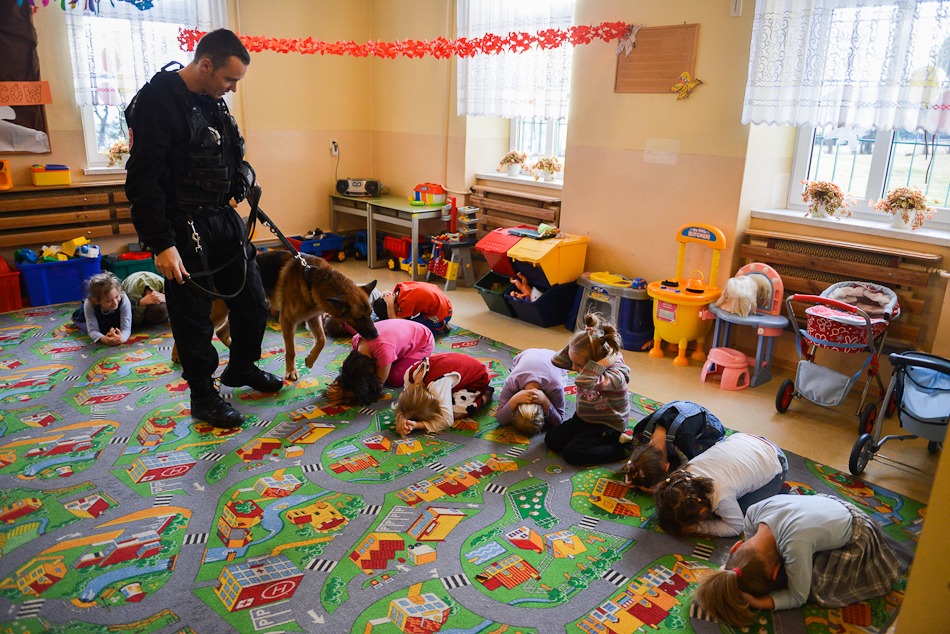 Psy na bandytów