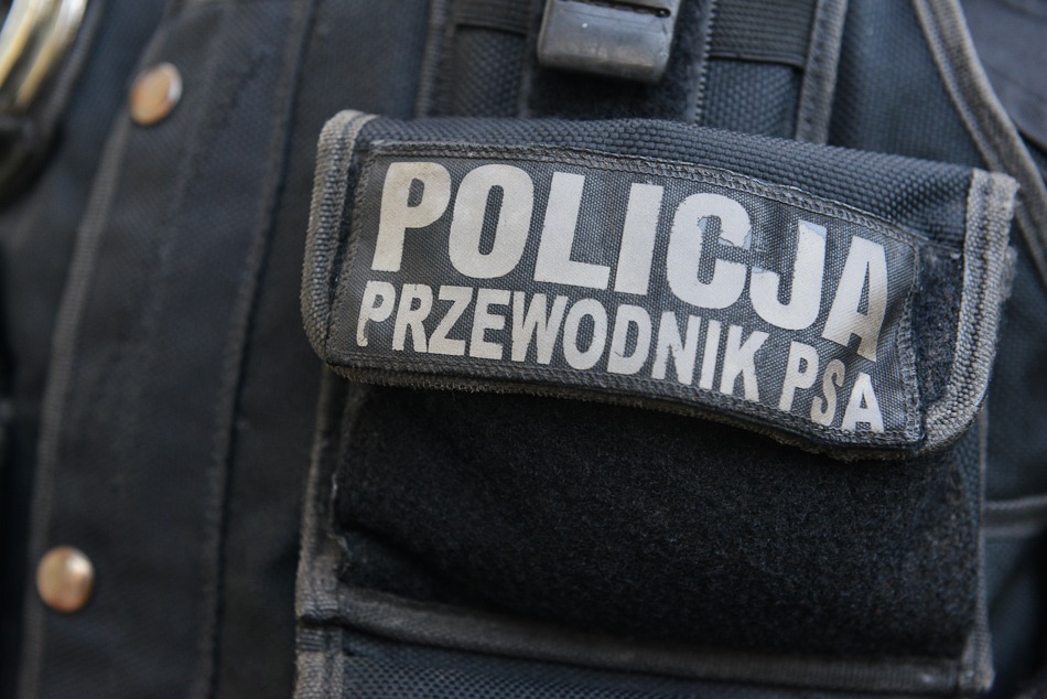 Psy na bandytów