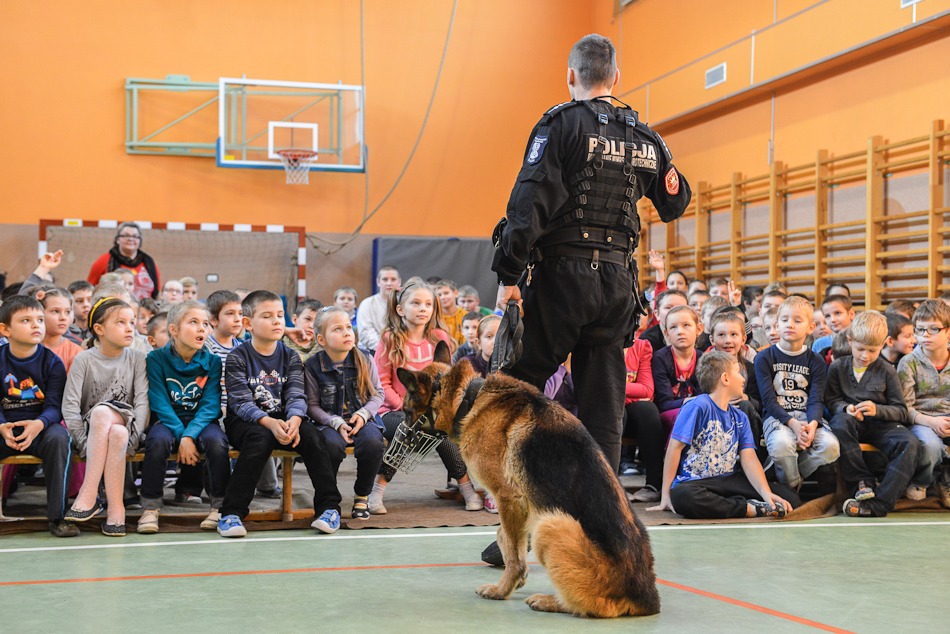 Psy na bandytów
