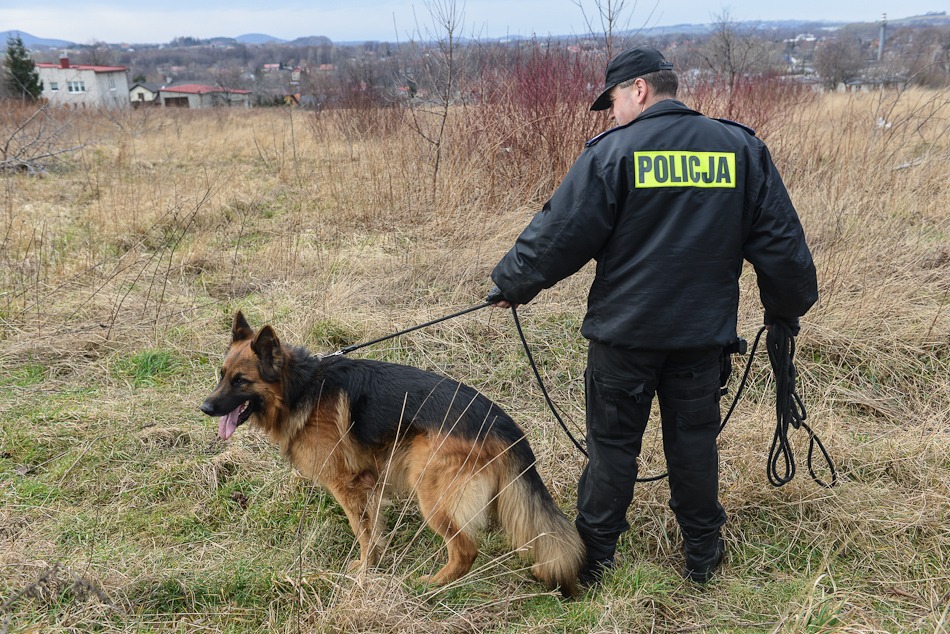 Psy na bandytów