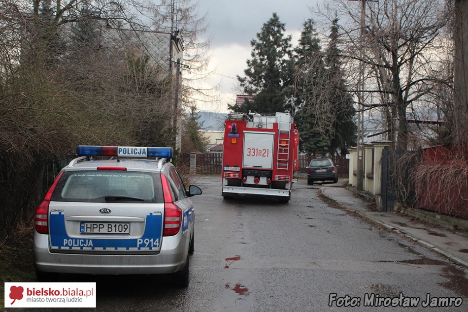 Alarm na ulicy Cichej - foto