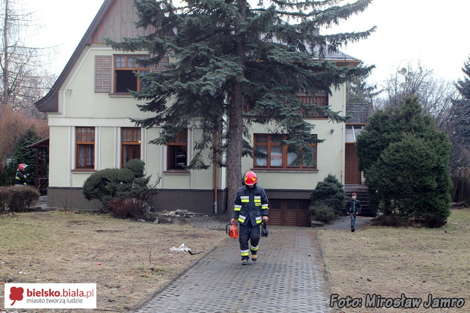 Alarm na ulicy Cichej - foto