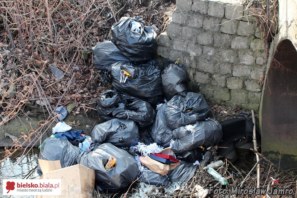 Wyrzucił dokumenty do potoku