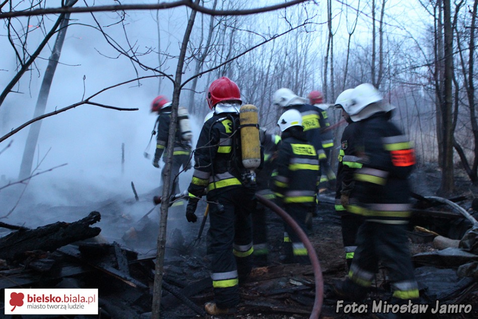 Policja: to mogły być podpalenia - foto