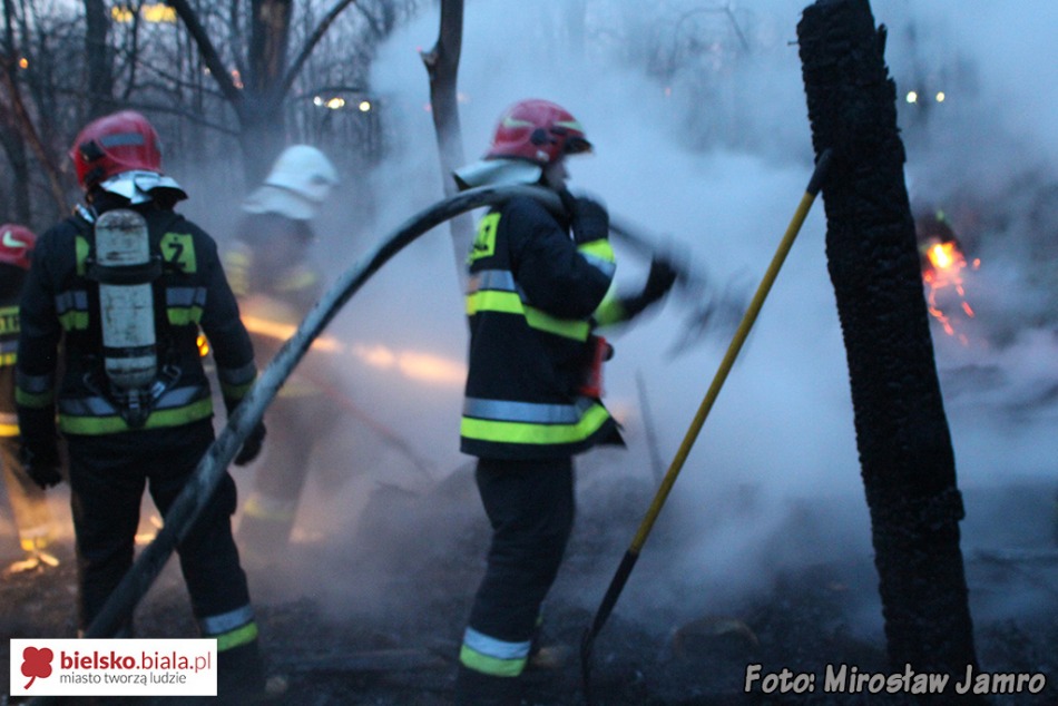 Policja: to mogły być podpalenia - foto