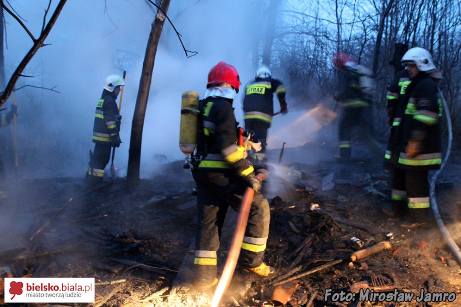 Policja: to mogły być podpalenia - foto