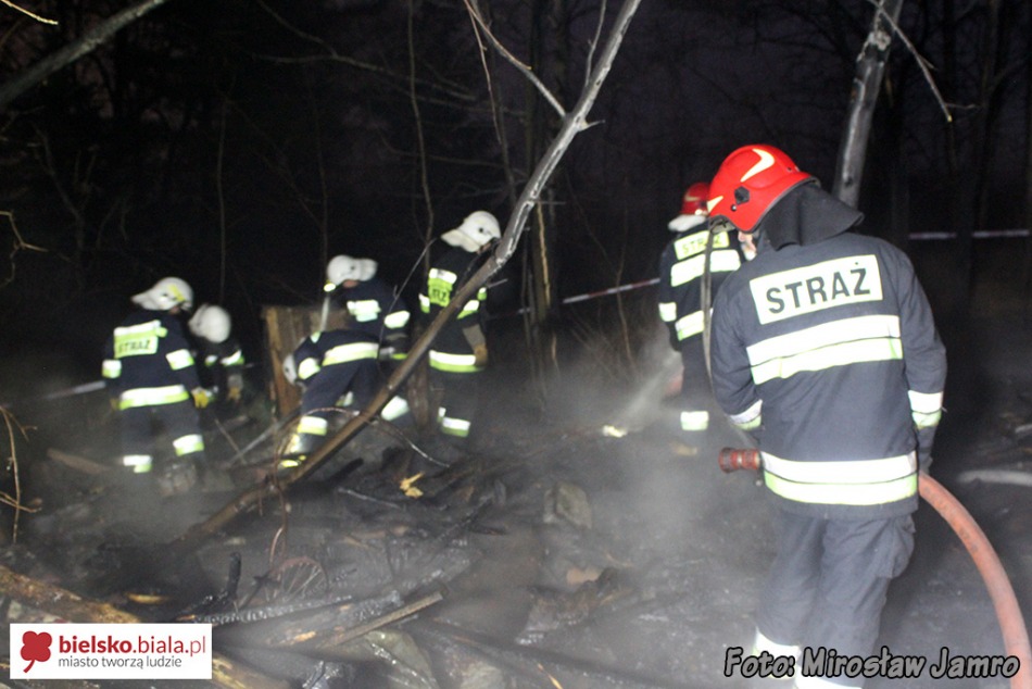 Policja: to mogły być podpalenia - foto